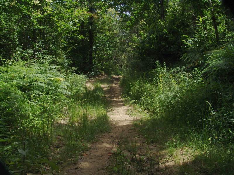 Fonte Santa - Escursione di San Giovanni